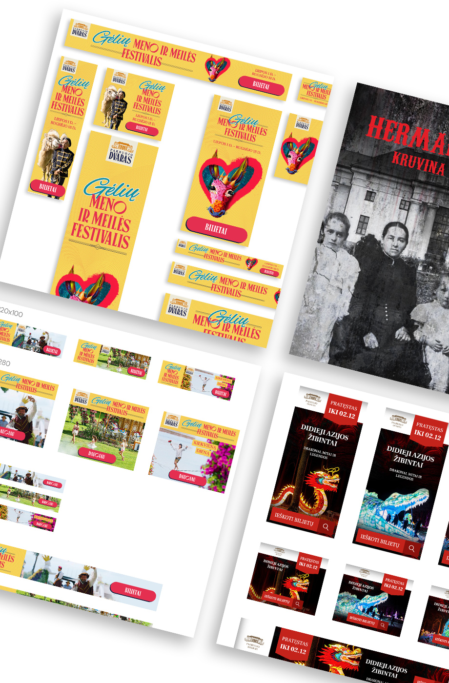 Pakruojo dvaro projektas