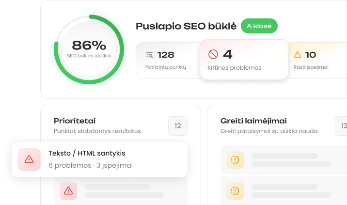 SEO audito rezultato pavyzdys